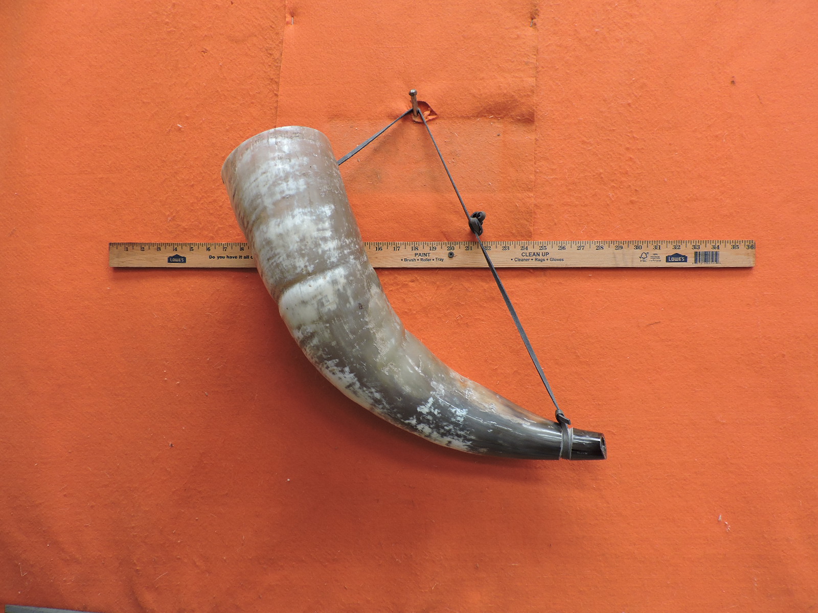 Extra large blowing horn for sale