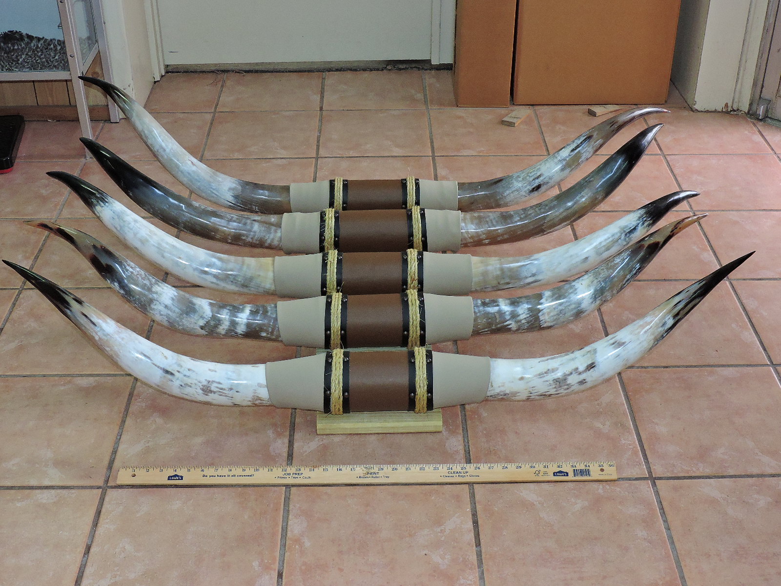 mounted steer horns ONE SET 6'  to 6' 3" LONGHORN BULL COW POLISHED horn 