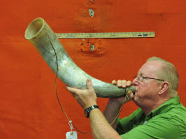 Extra large blowing horn for sale
